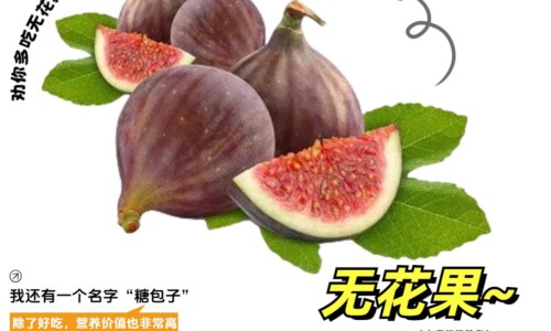 南瓜藤泡水功效与作用及禁忌-南瓜藤泡水喝有什么用、南瓜藤煮水的功能主治 -南瓜藤泡水功效与作用及禁忌网
