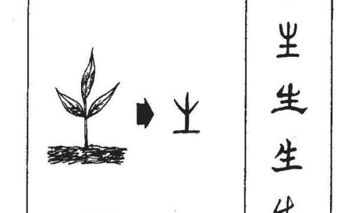 南瓜藤泡水功效与作用及禁忌-南瓜藤泡水喝有什么用、南瓜藤煮水的功能主治 -南瓜藤泡水功效与作用及禁忌网